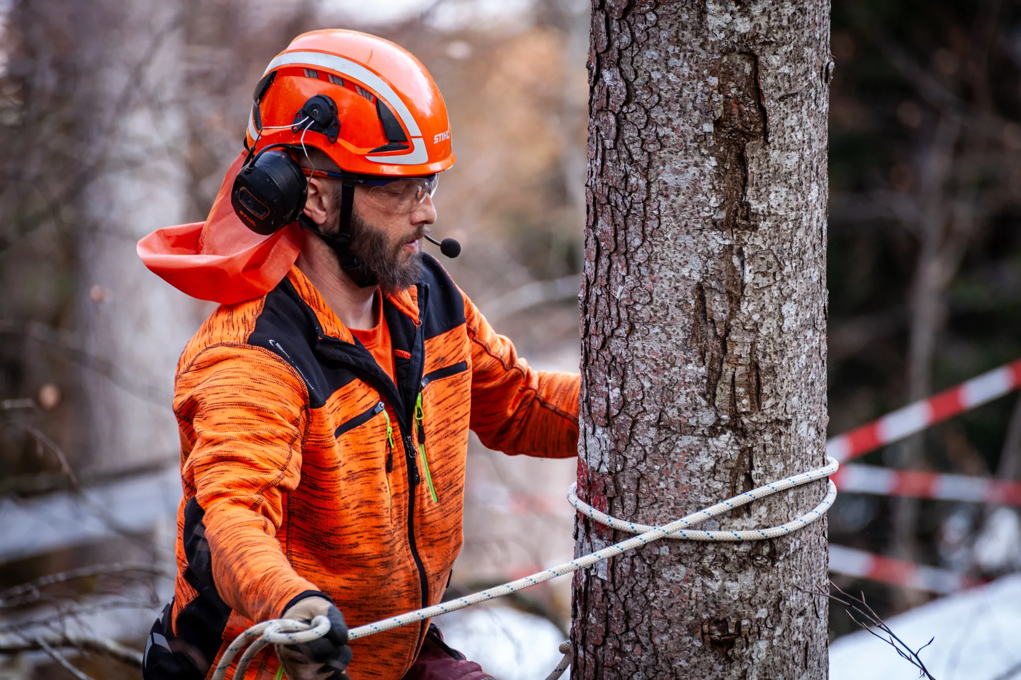 Forstarbeit mit Seil am Baum